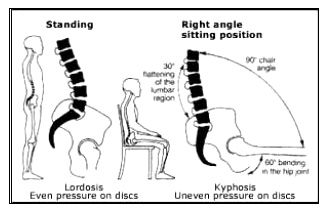 spinal position